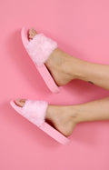 Slide Rosa